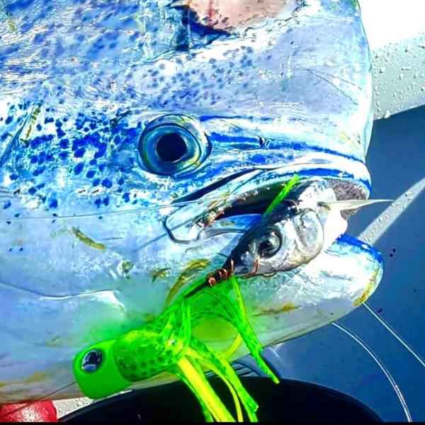 Saltwater Fishing Lure Mahi Tuna Wahoo Dorado Billfish Offshore